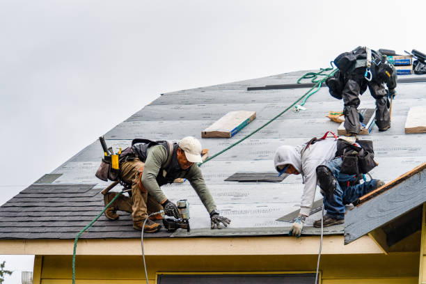 Professional Gutter Installation technician working in La Salle, MI